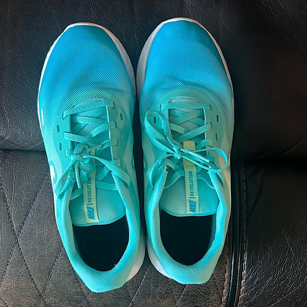 Nike Revolution